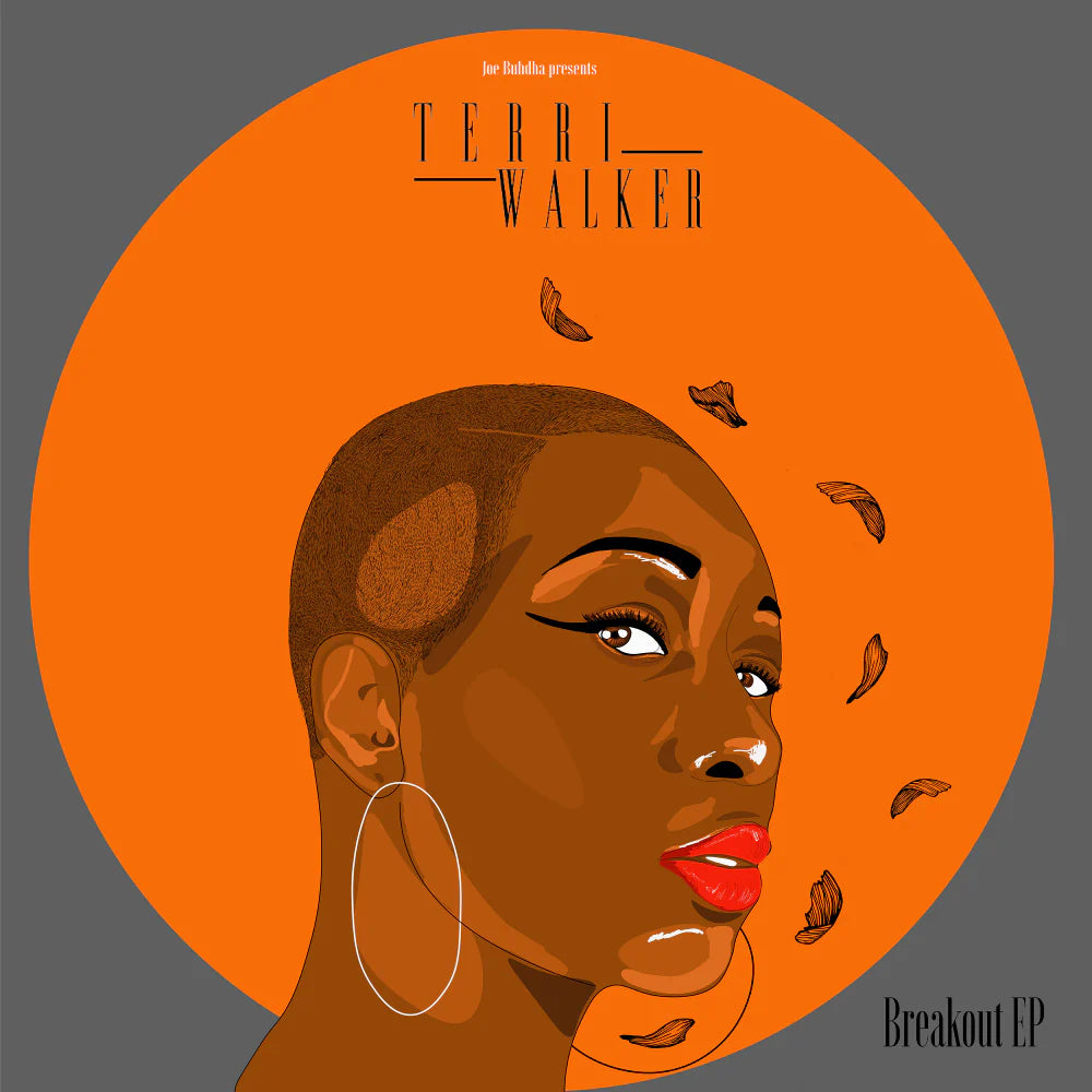 Terri Walker Breakout EP 1LP レコード Terri Walker 