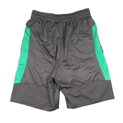 Nike Air Jordan Shorts